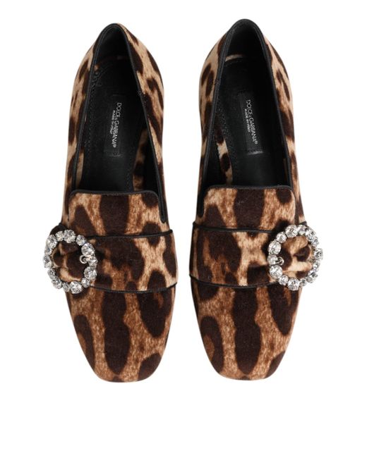 Dolce & Gabbana Brown Leopard Print Crystals Loafers Flats Shoes