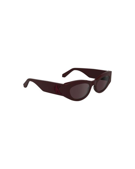 Calvin Klein Brown Rosso Acetate Sunglass