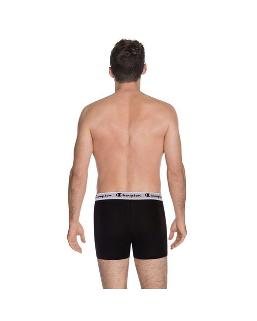 Champion Multicolor Black Cotton Boxers for men