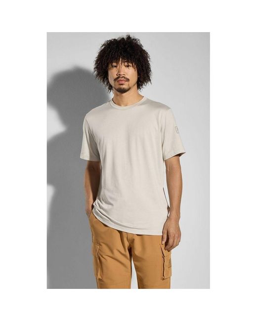 Champion Gray Blue Cotton T for men