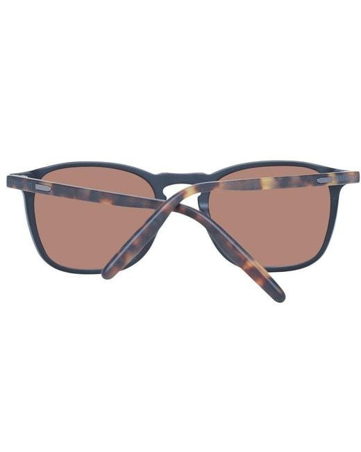 Serengeti Brown Sunglasses
