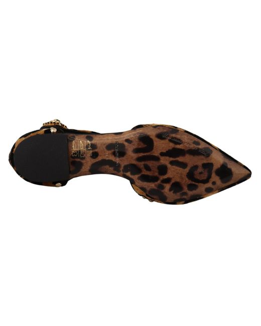 Dolce & Gabbana Black Ballerina Embellished Leopard Print Shoes