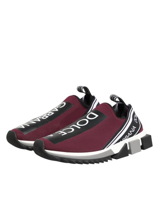 Dolce & Gabbana Purple Maroon Slip On Sorrento Men Sneakers Shoes for men