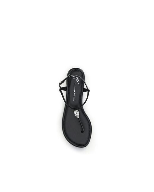 Giuseppe Zanotti Black Flat Sandals