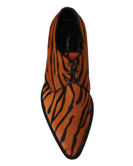 Dolce & Gabbana Brown Pony Hair Formal Dress Broque Shoes