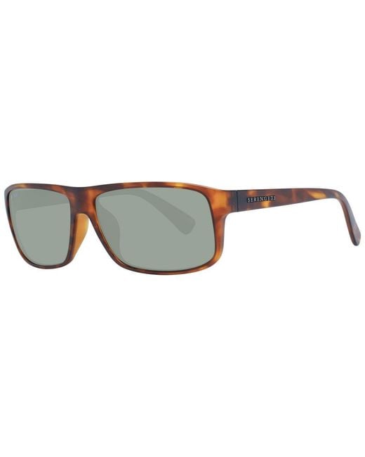 Serengeti Brown Sunglasses