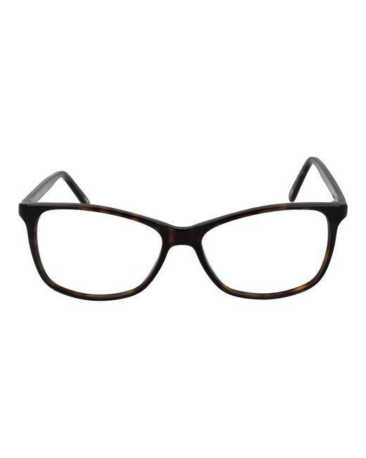 Andy Wolf Black Brown Acetate Glasses (frames)