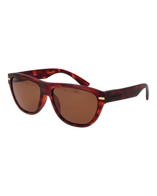Serengeti Brown Sunglasses