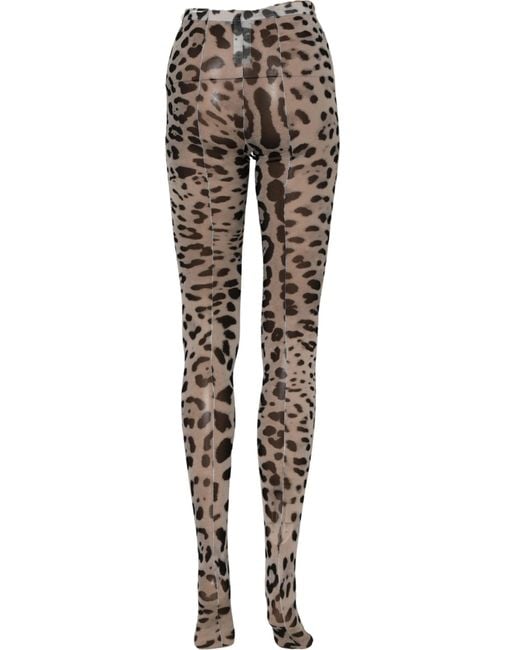 Dolce & Gabbana Gray Leopard Nylon Tights Stocking Pantyhose Socks
