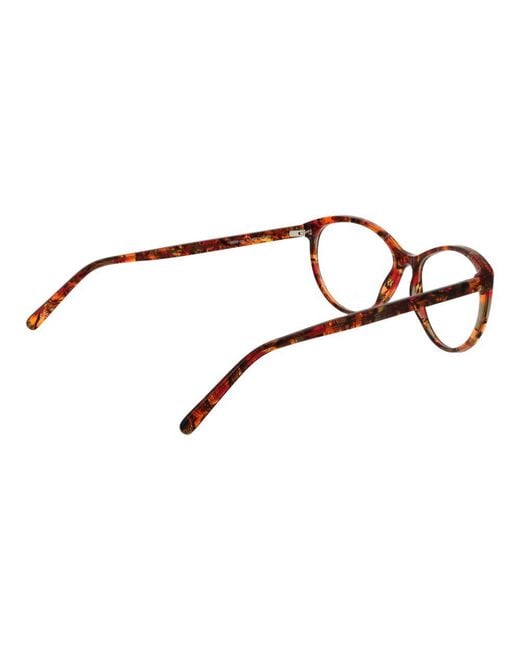Andy Wolf Brown Acetate Glasses (frames)