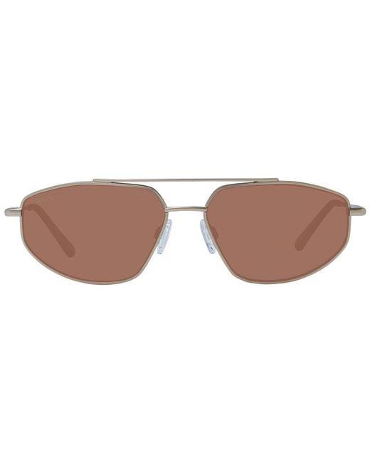 Serengeti Brown Gold Metal Sunglasses for men