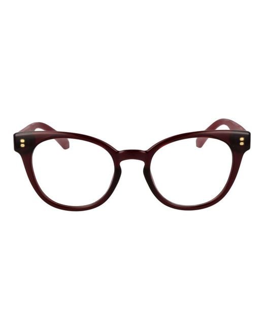 Polaroid Brown Multicolor Polyamide Glasses (frames)