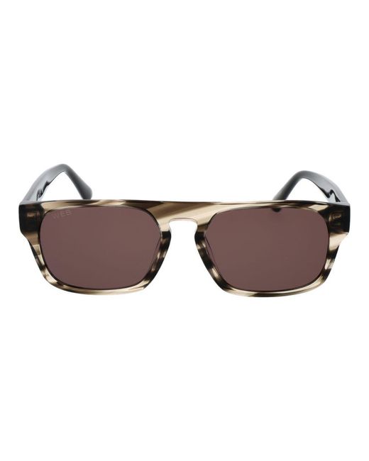 Web Brown Gray Acetate Sunglasses