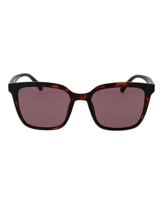 Gant Brown Stainless Steel Sunglasses