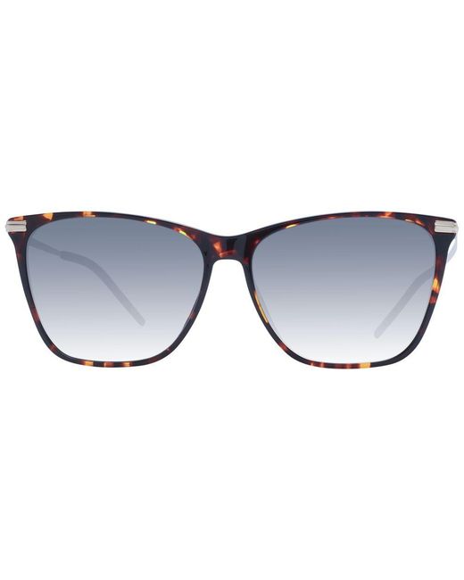 Boss Black Brown Acetate Sunglasses