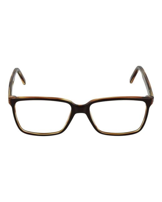 Andy Wolf Brown Acetate Glasses (Frames)