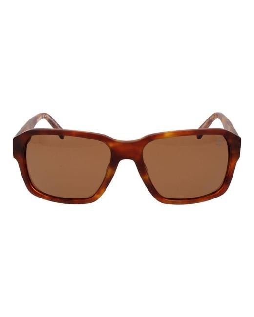 Timberland Brown Acetate Sunglasses for men