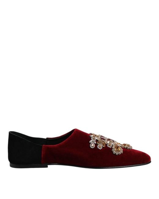 Dolce & Gabbana Brown Black Red Velvet Embellished Slip On Shoes for men