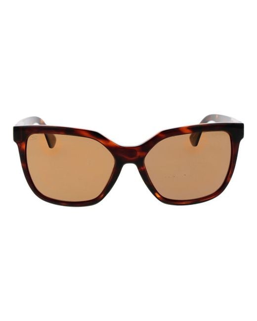 Serengeti Brown Sunglasses