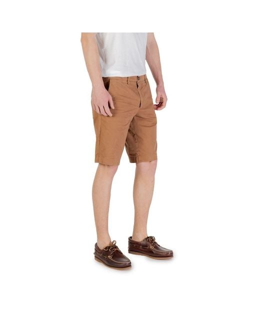 Borghese Brown Cotton Bermuda for men