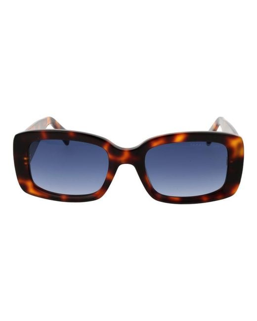Tommy Hilfiger Blue Brown Acetate Sunglasses