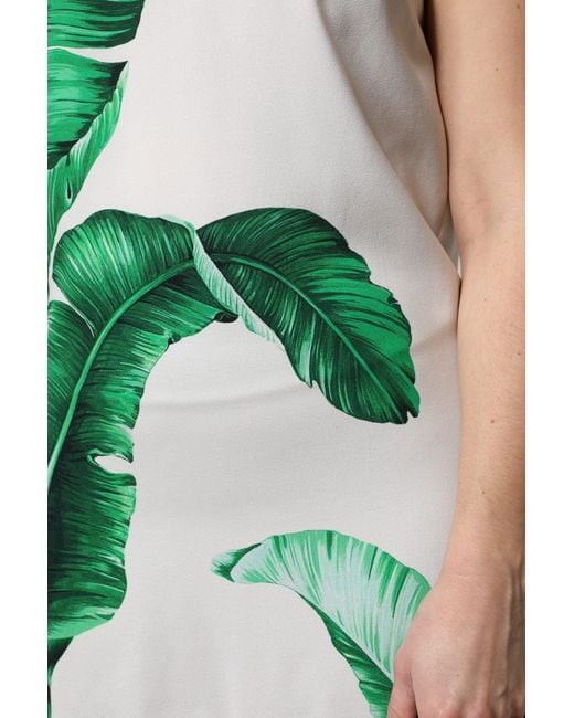 Dolce & Gabbana Green White Banana Leaf Print Round Neck Tank Top for men