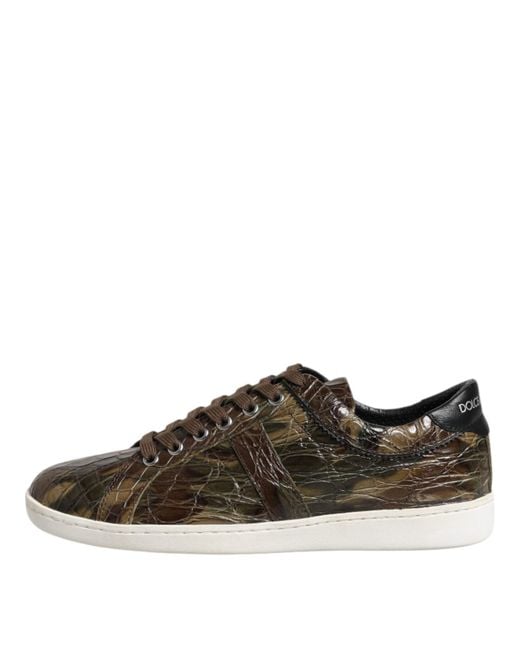 Dolce & Gabbana Brown Exotic Leather Low Top Sneakers Shoes for men