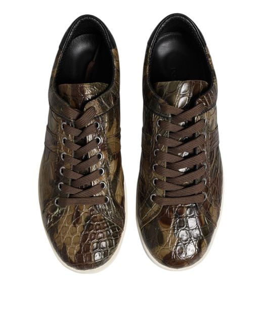 Dolce & Gabbana Brown Exotic Leather Low Top Sneakers Shoes for men