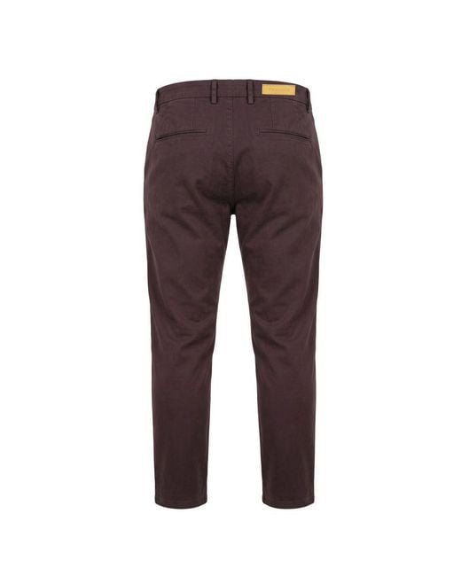 Trussardi Brown Cotton Men's Pants for men