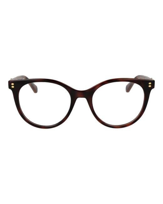 Polaroid Black Brown Polyamide Glasses (frames)