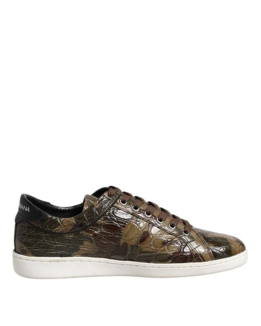 Dolce & Gabbana Brown Exotic Leather Low Top Sneakers Shoes for men