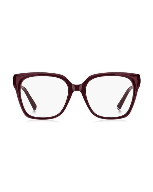 Tommy Hilfiger Brown Burgundy Acetate Glasses (frames)