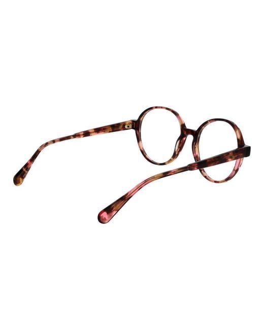 MAX&Co. Brown Acetate Glasses (frames)