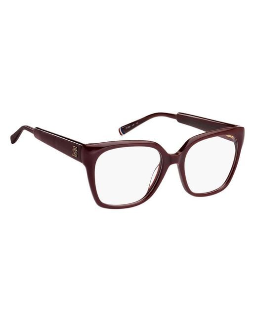 Tommy Hilfiger Brown Burgundy Acetate Glasses (frames)