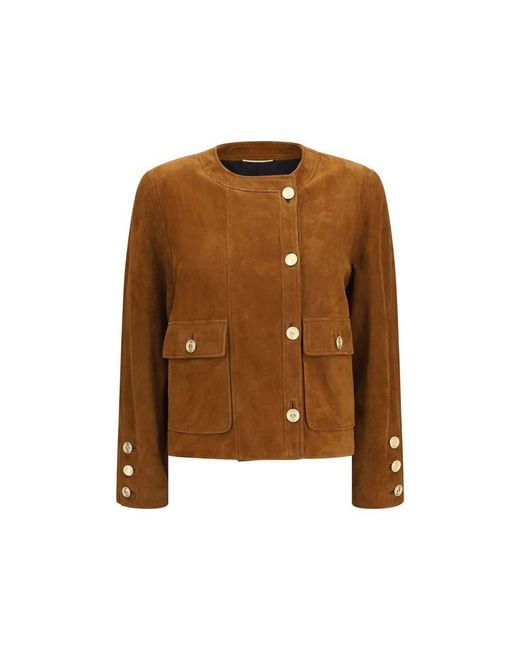Saint Laurent Brown Lamb Ovis Aries Aries Full