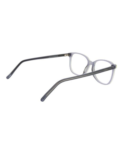 Andy Wolf Brown Gray Acetate Glasses (frames)