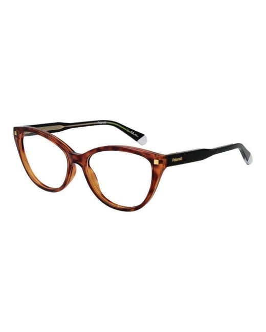 Polaroid Brown Cellulose Propionate Glasses (frames)