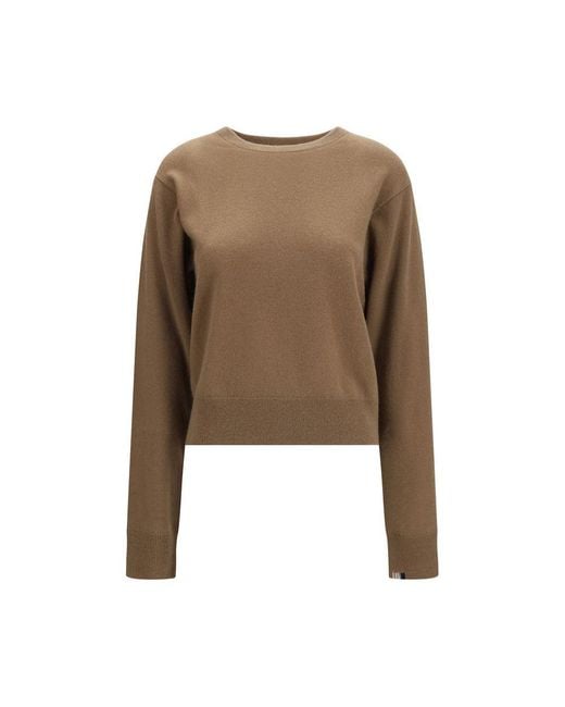 Extreme Cashmere Brown Cashmere Sweater