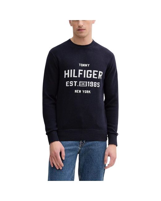 Tommy Hilfiger Blue Organic Cotton Sweatshirt for men