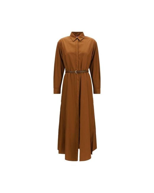 Max Mara Brown Cotton Shirt Dress