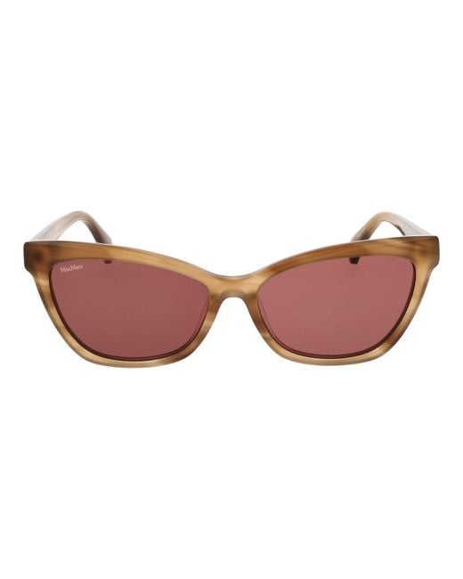 Max Mara Brown Acetate Sunglasses