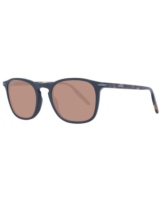 Serengeti Brown Sunglasses