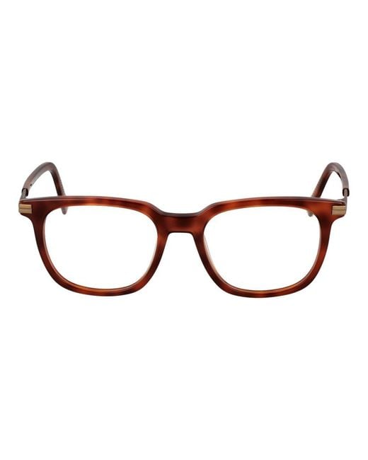 Zegna Brown Acetate Glasses (frames)