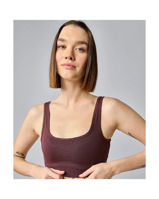 Champion Multicolor Brown Cotton Bra