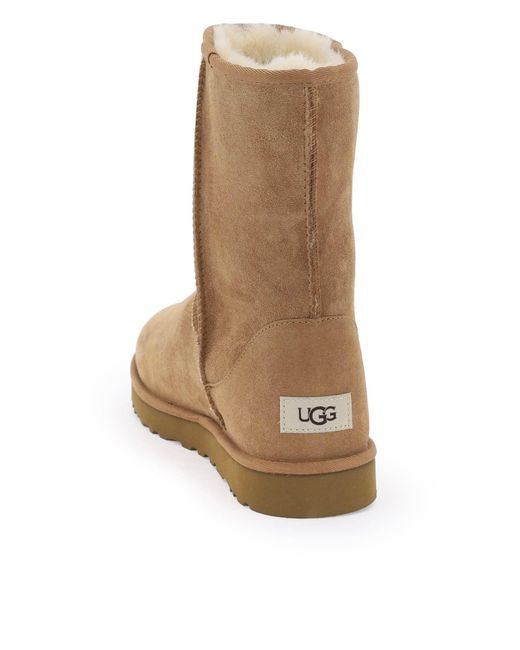 Ugg Brown Classic Short Boots for men