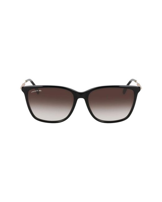 Lacoste Brown Acetate Sunglasses