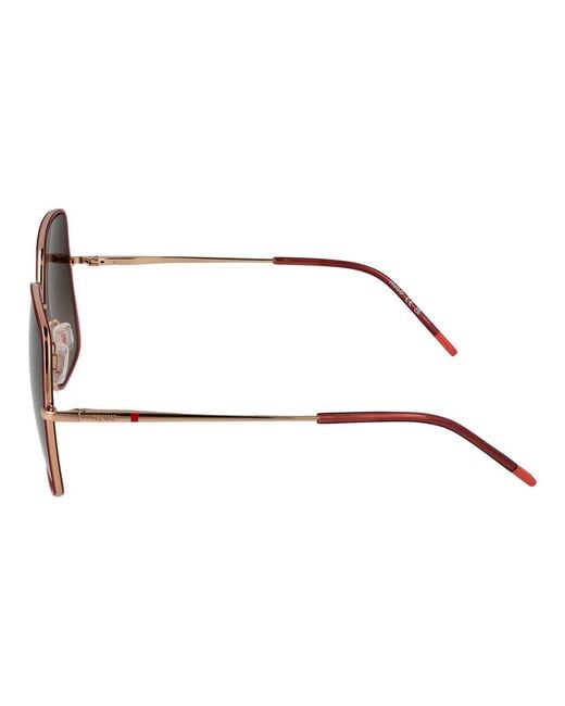 Boss Brown Red Sunglasses