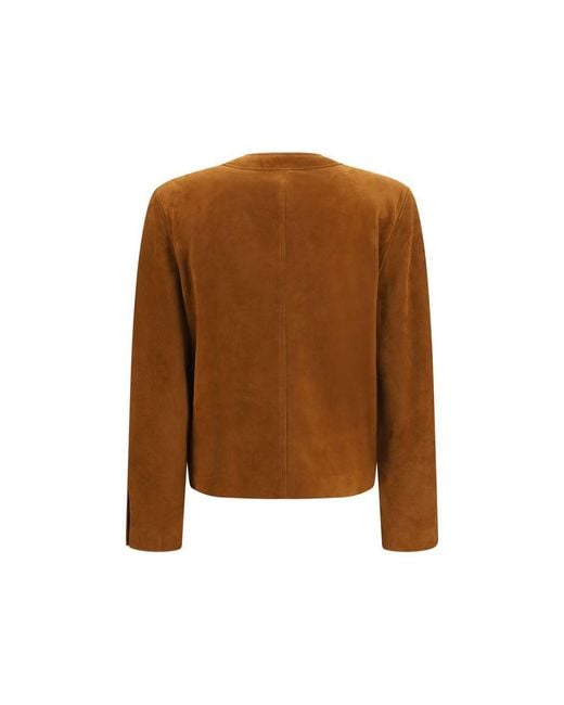 Saint Laurent Brown Lamb Ovis Aries Aries Full