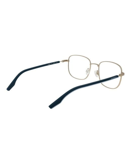 Converse Metallic Gold Rubber Glasses (frames)