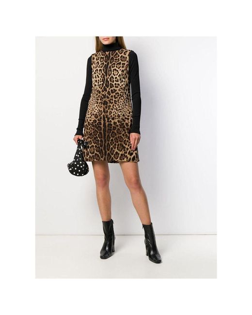 Dolce & Gabbana F6bo4t-faja-leopard in Metallic